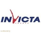 Печь камин Cassine Invicta