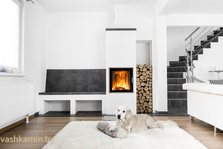 Austroflamm 55x57 K 2.0 Каминная топка