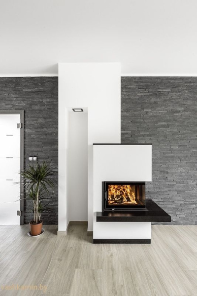 Austroflamm 63x40x42 S 2.0 Каминная топка