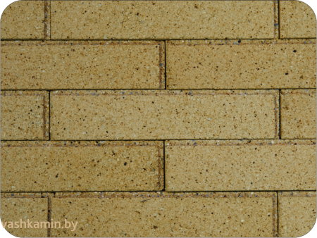 КАМИННАЯ ТОПКА АСТОВ ПС 700