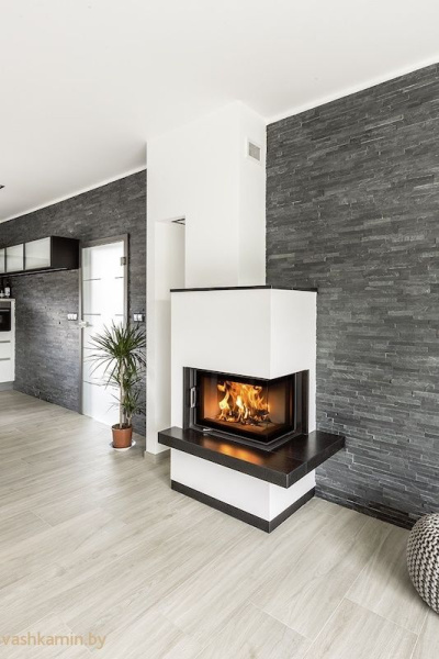 Austroflamm 63x40x42 S 2.0 Каминная топка